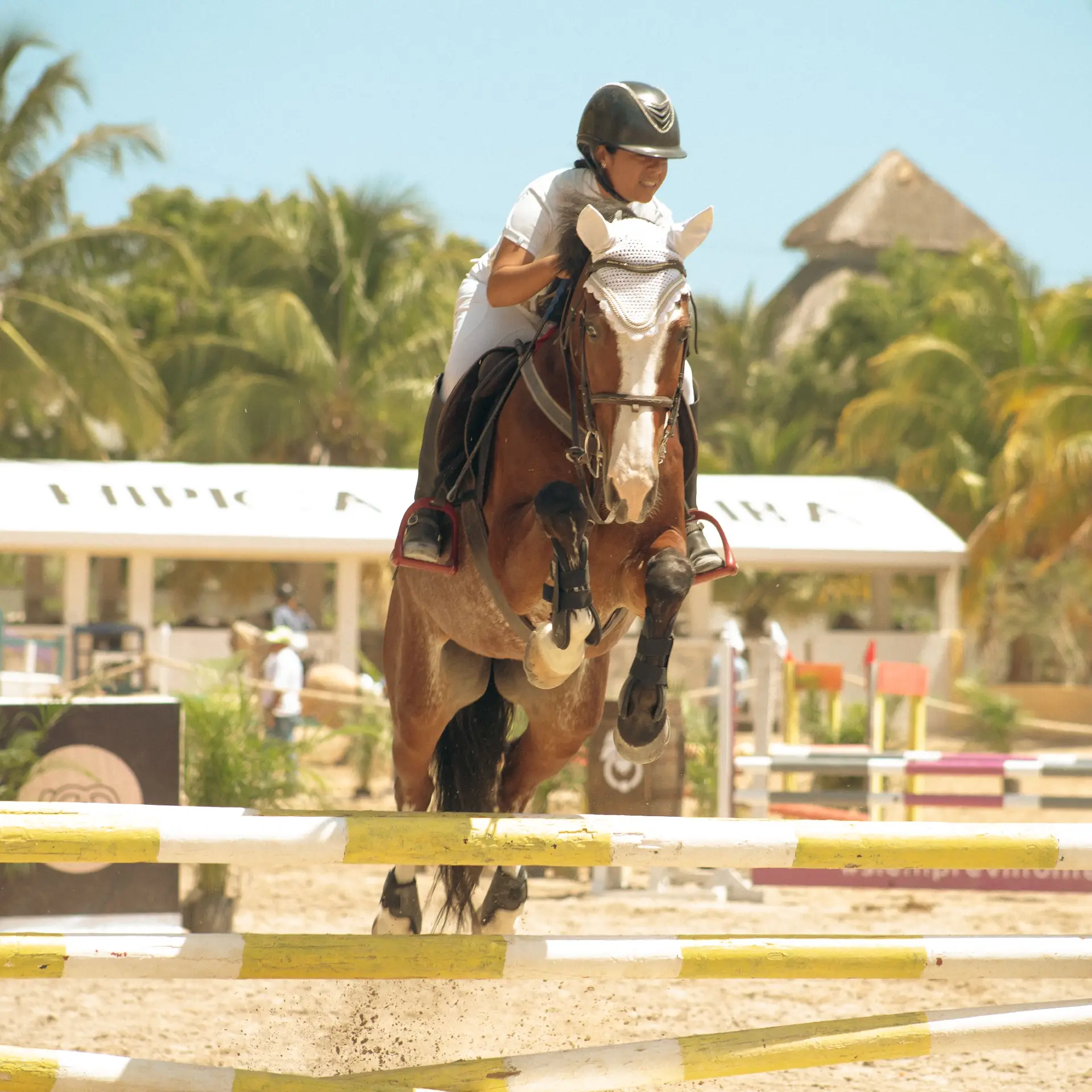 Rider and horse in mid-jump during equestrian event